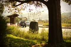 明日香村 大字豊浦( 甘樫丘付近 ) 明日香村 大字豊浦( 甘樫丘付近 )