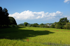 明日香村　大字川原