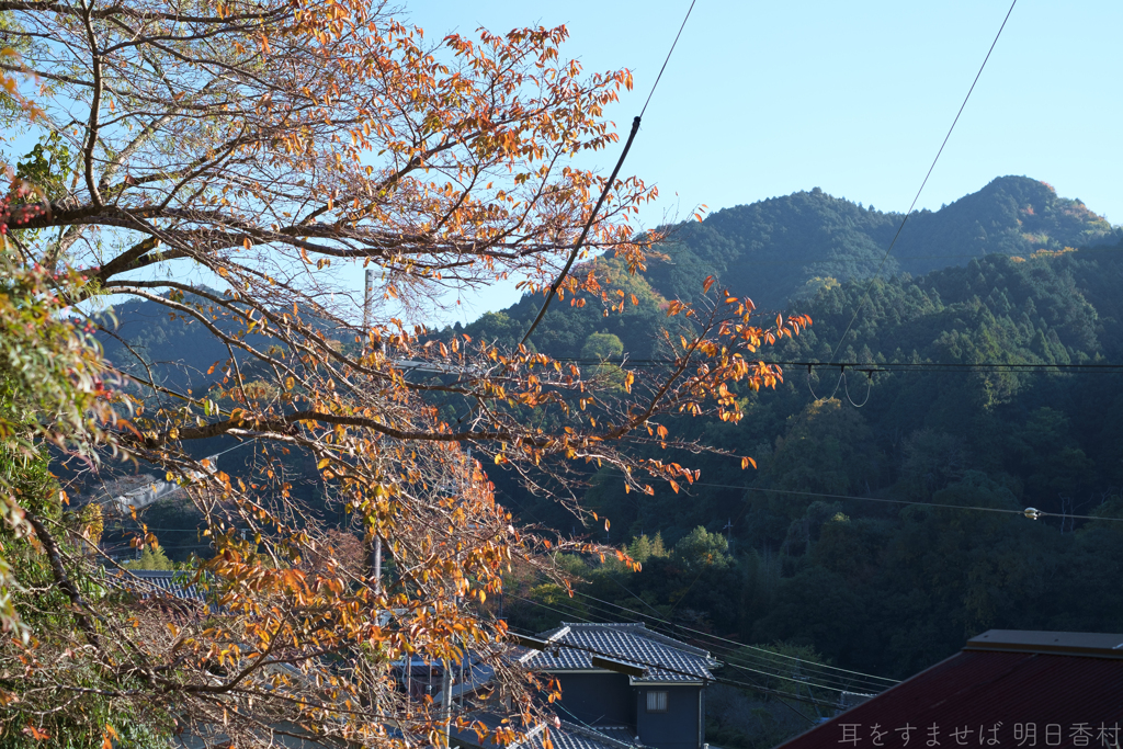 明日香村　大字稲渕