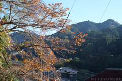 明日香村　大字稲渕