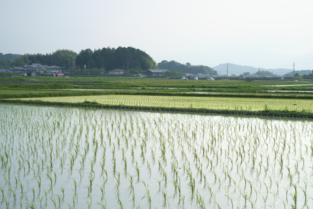 明日香村　大字奥山