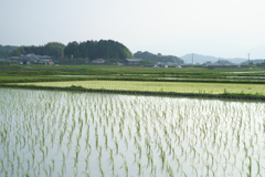 明日香村　大字奥山
