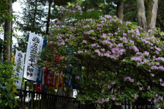 大阪府太子町（ 竹内街道　科長神社 ）
