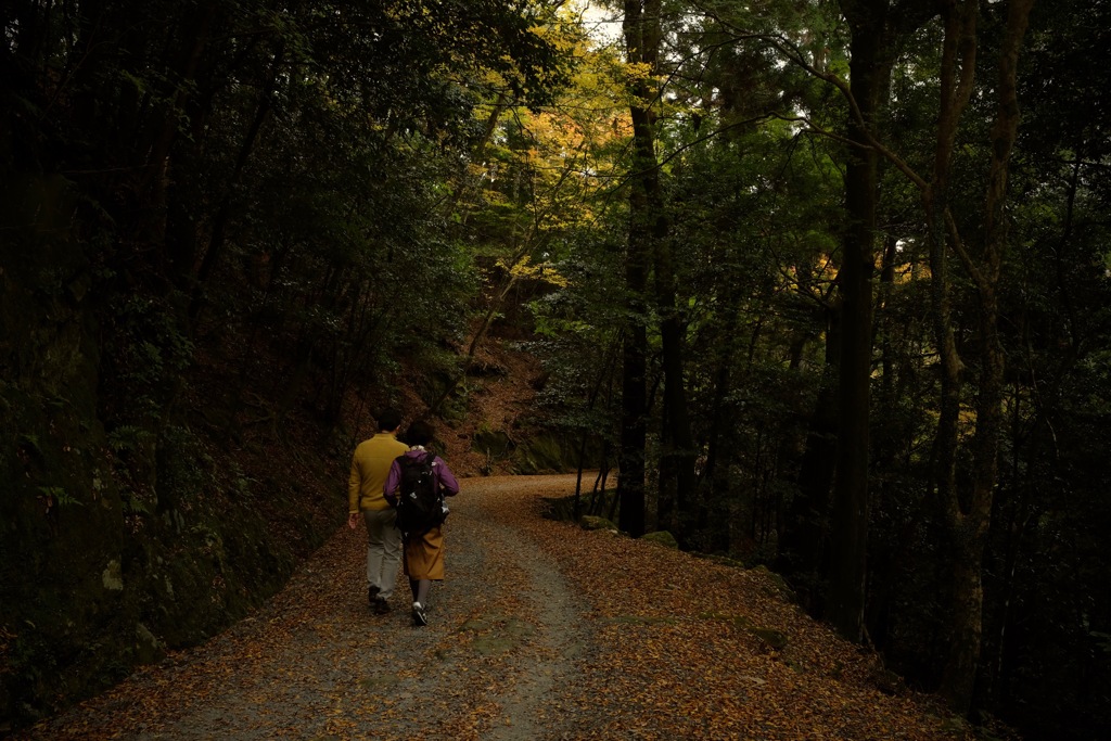 奈良　春日山原始林