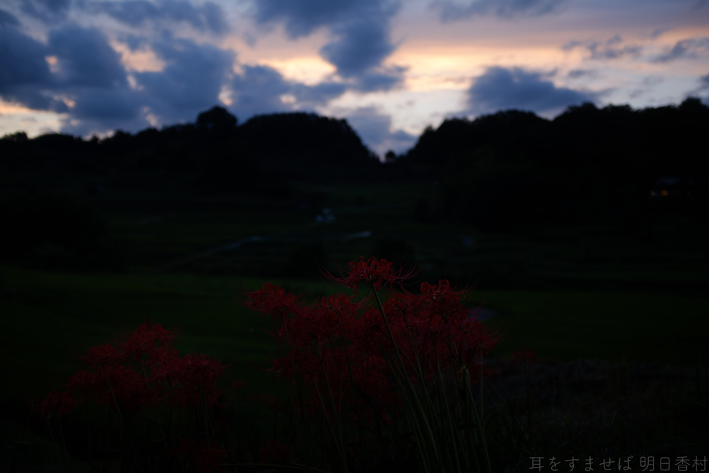 明日香村　大字稲渕