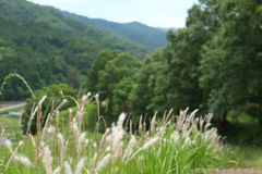 明日香村　大字稲渕