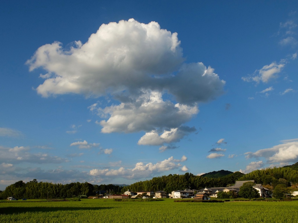 明日香村　大字岡