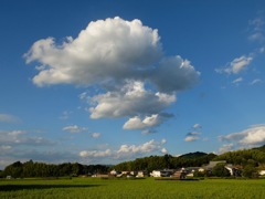 明日香村 大字岡 明日香村 大字岡