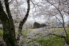 明日香村　大字島庄（ 石舞台古墳 ）
