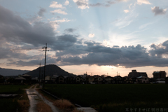 橿原市城殿町　本薬師寺跡