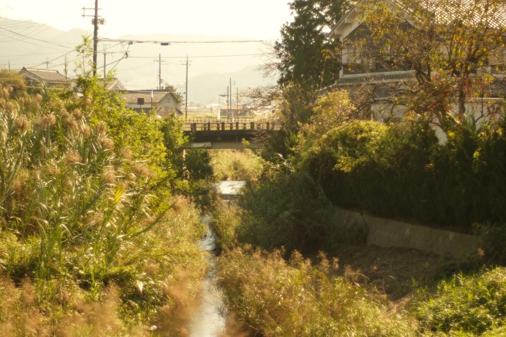 明日香村 大字豊浦（ 甘樫丘付近 ）