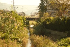 明日香村 大字豊浦( 甘樫丘付近 ) 明日香村 大字豊浦( 甘樫丘付近 )