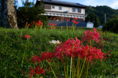 明日香村　大字祝戸