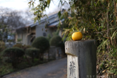 明日香村 大字上居 明日香村 大字上居
