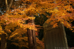 橿原市南浦町　天香久山