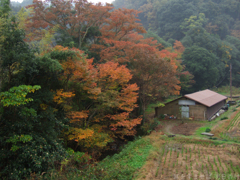 明日香村　大字稲渕