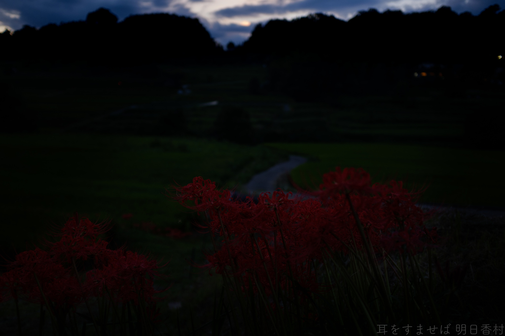 明日香村　大字稲渕