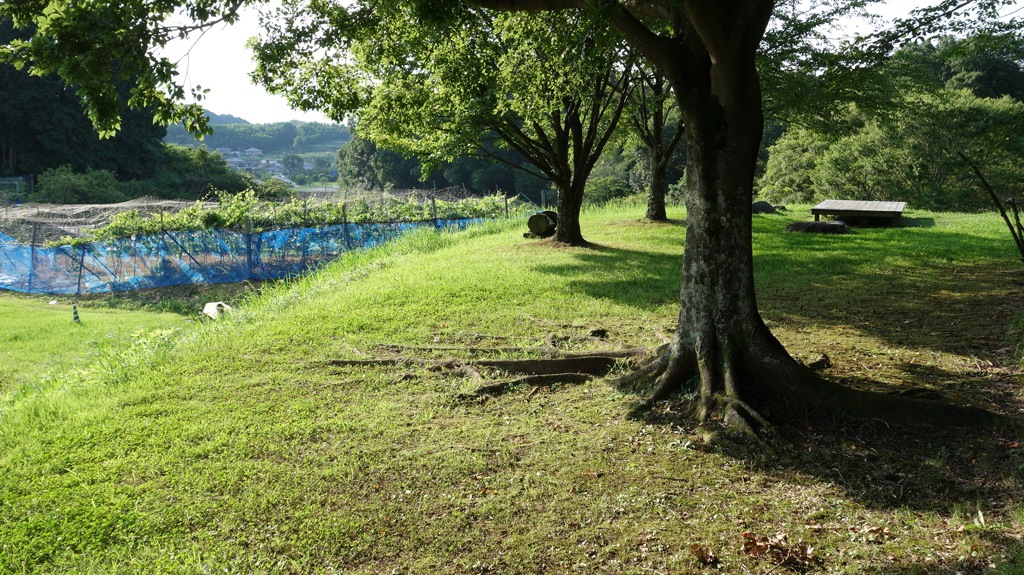 明日香村 平田 （ 国営飛鳥歴史公園 高松塚地区 ）