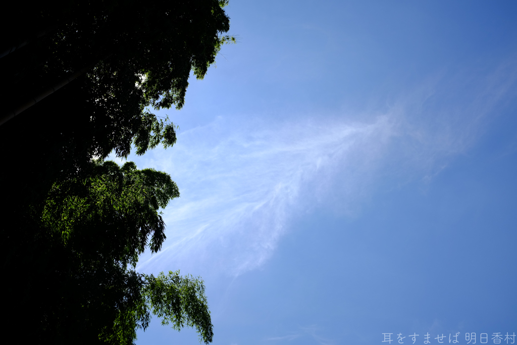 明日香村　大字平田（ 国営飛鳥歴史公園 高松塚周辺地区 ）