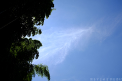 明日香村 大字平田( 国営飛鳥歴史公園 高松塚周辺地区 ) 明日香村 大字平田( 国営飛鳥歴史公園 高松塚周辺地区 )