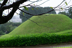 国営飛鳥歴史公園　高松塚周辺地区