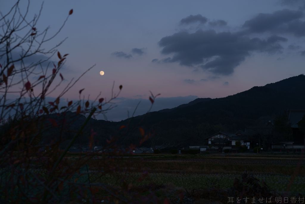 明日香村　大字橘