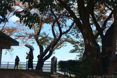 奈良県生駒郡斑鳩町　竜田川沿いの紅葉
