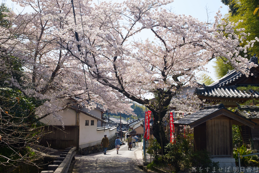 明日香村　大字岡（　あすか大師 岡本寺 ）