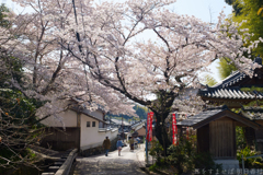 明日香村　大字岡（　あすか大師 岡本寺 ）