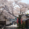 明日香村　大字岡（　あすか大師 岡本寺 ）