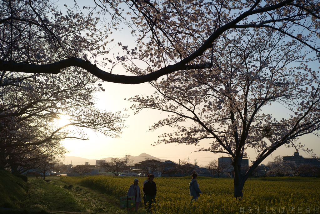 奈良県橿原市醍醐町