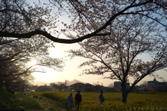 奈良県橿原市醍醐町