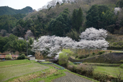 明日香村　大字稲渕