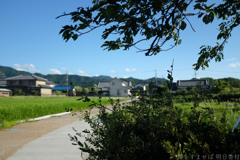 明日香村 大字飛鳥 明日香村 大字飛鳥