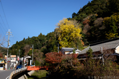 奈良県桜井市　素盞雄神社