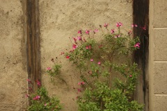 明日香村 大字御園 明日香村 大字御園