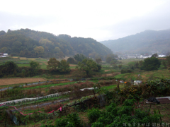明日香村　大字稲渕