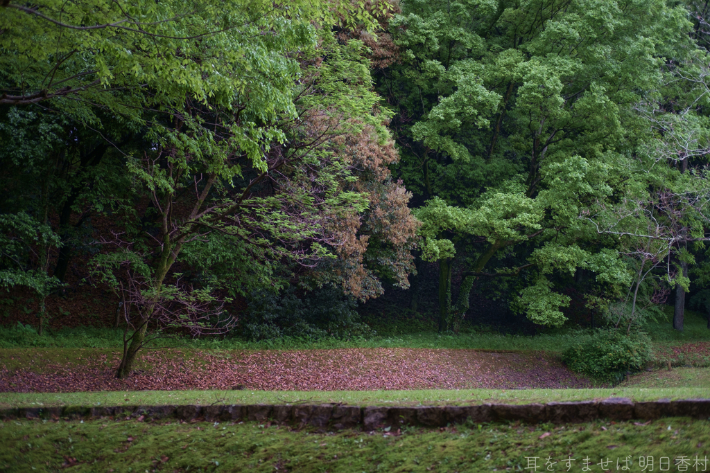 明日香村　大字川原（ 国営飛鳥歴史公園　甘樫丘地区 ）