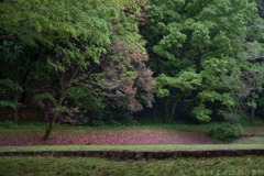明日香村　大字川原（ 国営飛鳥歴史公園　甘樫丘地区 ）
