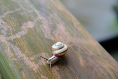 明日香村 大字島庄 明日香村 大字島庄