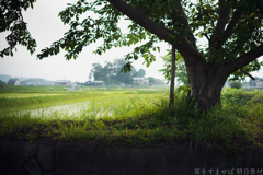 明日香村　大字奥山