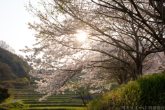 明日香村 大字稲渕 明日香村 大字稲渕