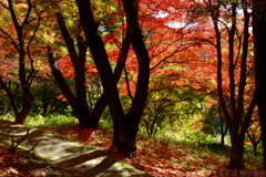 明日香村　大字平田　中尾山古墳