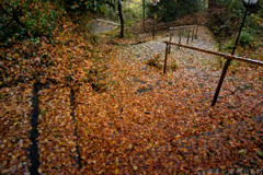 明日香村　大字岡