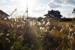 桜井市　山辺の道