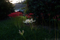 明日香村　大字祝戸