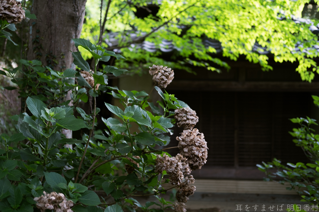 大阪府太子町（ 竹内街道　小野妹子墓 ）