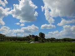 明日香村 大字平田 明日香村 大字平田