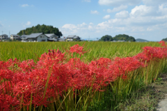 明日香村　大字飛鳥