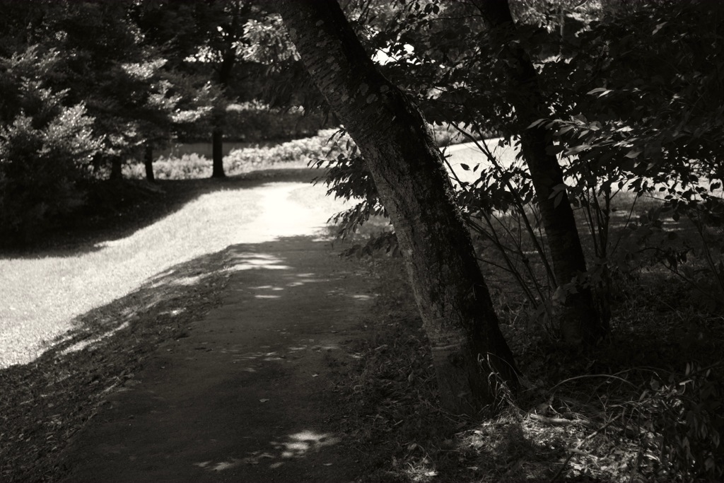 明日香村 豊浦 （ 甘樫丘 ）